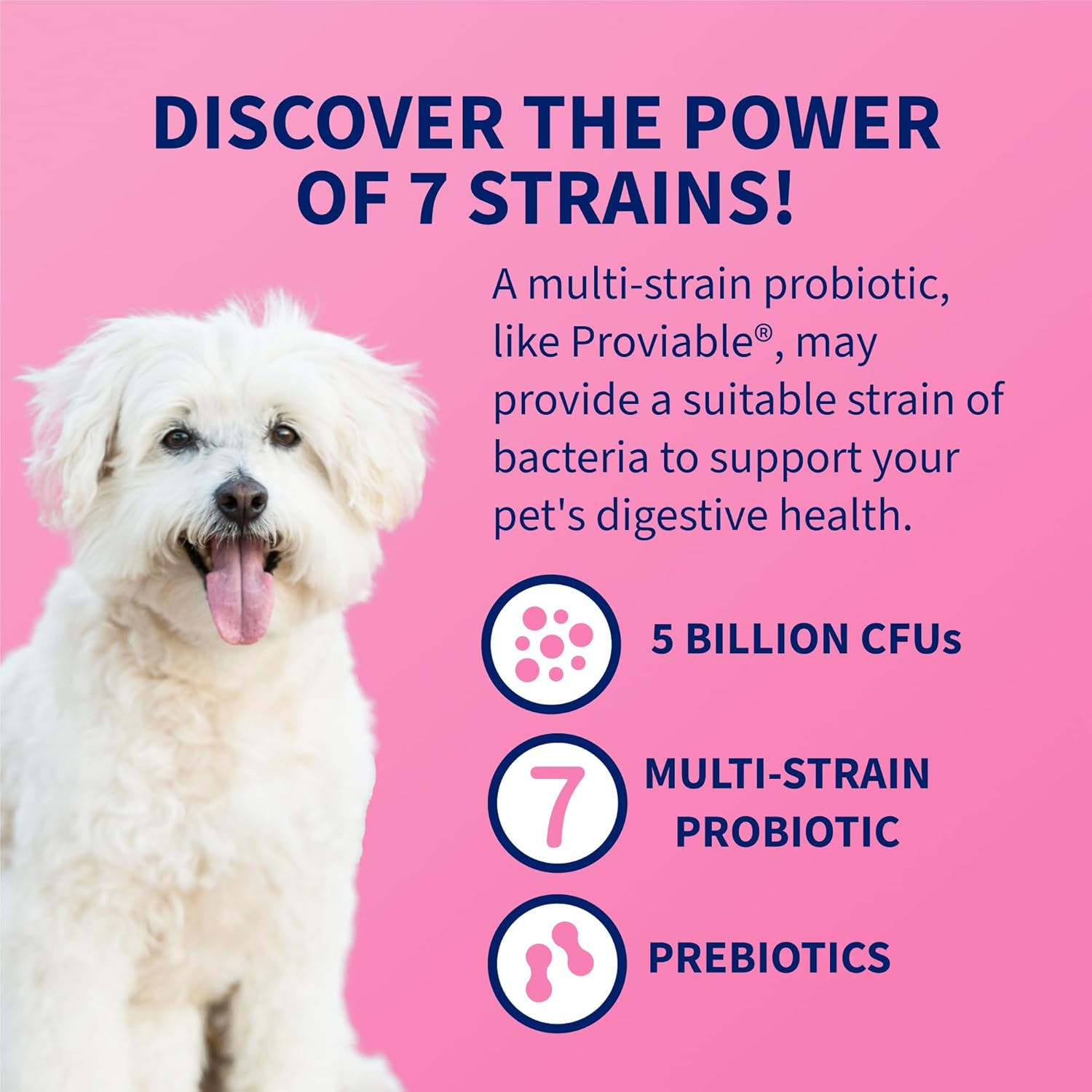 Nutramax Proviable Probiotics for Dogs and Cats, Daily Digestive Health Supplement with Multiple Strains of Bacteria, Cat and Dog Probiotics Plus Prebiotics, 30 Capsules image 5